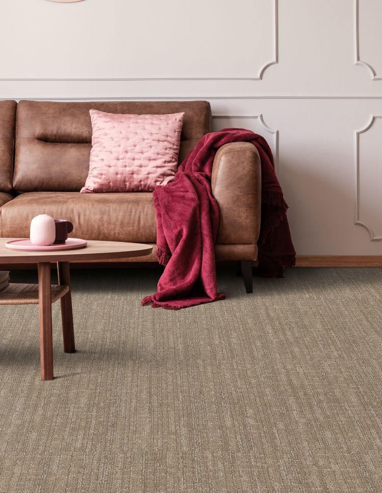 brown textured carpets in a Columbia, MO, living room
