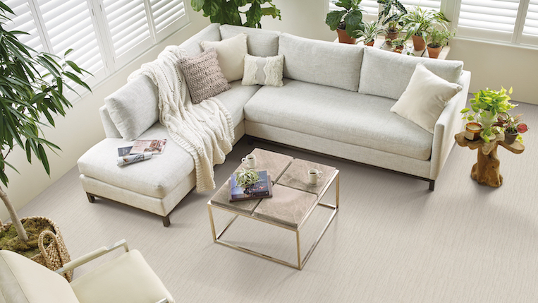 Carpet in a living room.