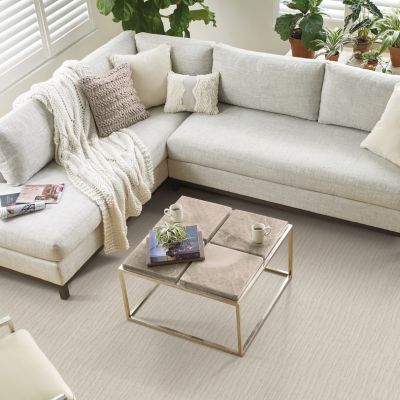 carpet in a bright Columbia, MO, living room